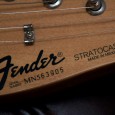 Fender Gitarren schufen Musikgeschichte. Leo Fender, Gründer der Firma Fender, geboren 1909 in Anaheim, California, entwickelte 1948 die erste Solid-Body E-Gitarre die in Massenproduktion ging...